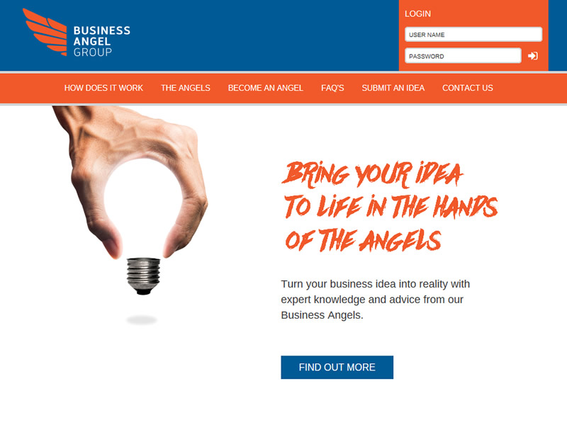 Chelmsford Essex Web Design -  Business Angel Group